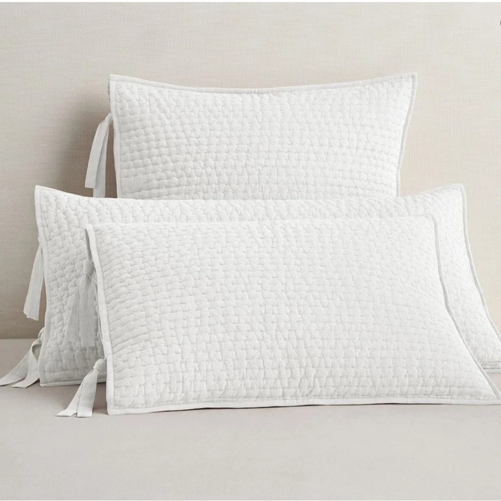 Pottery Barn King Shams - Picture 11 of 11